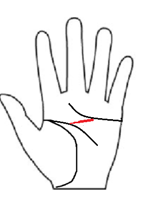 手相　変形ますかけ線　画像　手相後藤